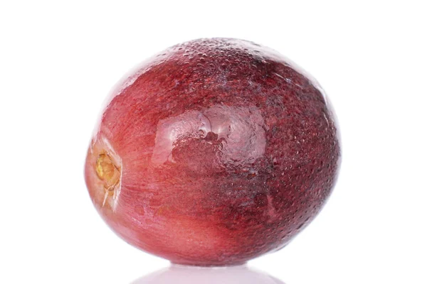 Satu Globe Merah Segar Anggur Berry Diisolasi Pada Putih — Stok Foto
