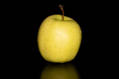 Bir yeşil elma siyah camda izole edilmiş.