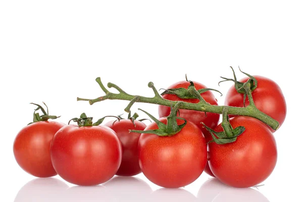 Viel Frische Rote Kirschtomaten Weinreben Isoliert Auf Weiß — Stockfoto