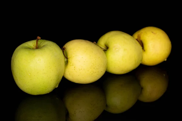 Group of four whole green delicious apple in row isolated on black glass