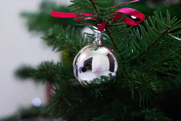 Bola Prata Natal Árvore Evergreen Close — Fotografia de Stock