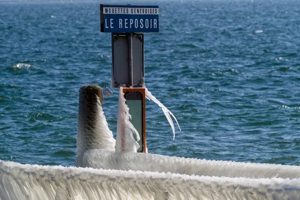 Lago Ginevra Svizzera Vento Temperature Molto Basse Hanno Creato Paese — Foto Stock