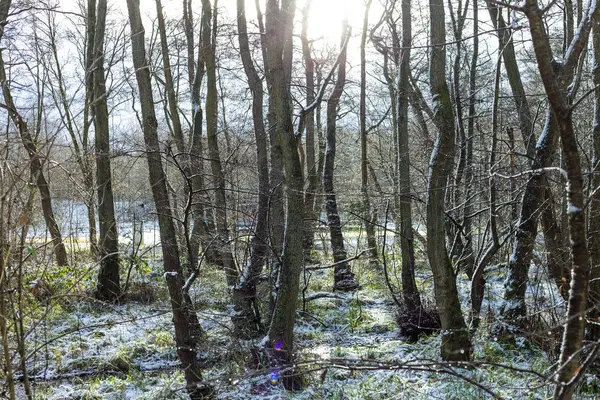 Winter landscap — Stock Photo, Image