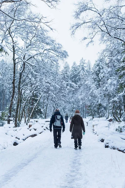 People are walking in the snow-covered forest — Stock Photo, Image