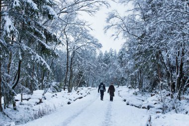 insanlar karla kaplı ormanda yürüyor