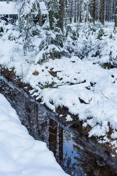 L'eau de fonte se rassemble dans les ruisseaux — Photo