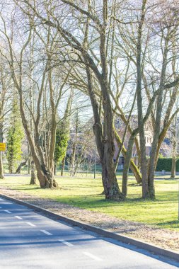 son derece uzun gölgeler