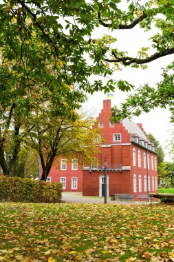 Şehir parkında yağmurun altında yaşlı bir ağaç 
