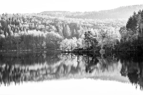 Reflexión sobre la superficie — Foto de Stock