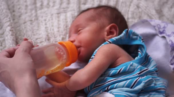 Una madre joven alimenta a un recién nacido de un biberón . — Vídeos de Stock