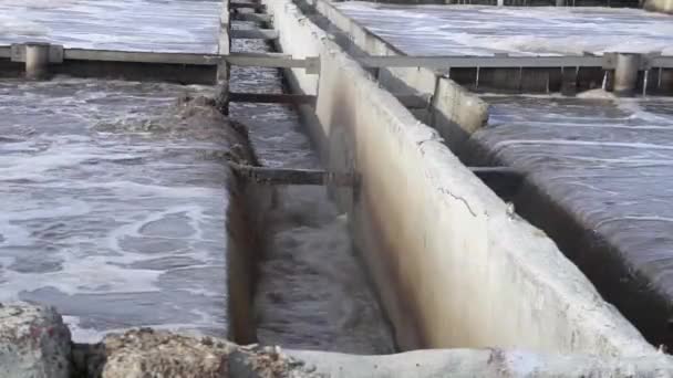 The process of recirculating sediment with a solid contact donkey in a water treatment plant. Industrial water treatment, biological treatment plant — Stock Video