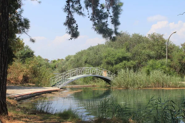 Beautiful Little Bridge River — Stock Photo, Image