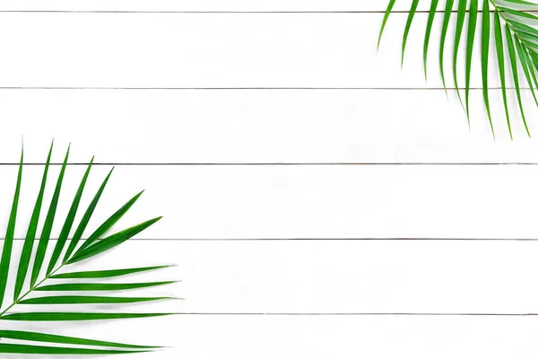 Beyaz tahta arka planda tropik palmiye yaprakları. Yaz kavramı. Düz konum, üst görünüm, boş kopyalama alanı — Stok fotoğraf