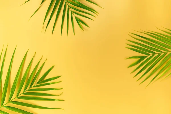 Sarı arka planda yeşil palmiye yaprakları. Yaz kavramı. Düz konum, üst görünüm, kopyalama alanı — Stok fotoğraf