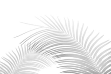 Soyut avuç, beyaz duvarda gölgeler bırakır. Boş kopyalama alanı.