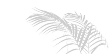 Soyut avuç, beyaz duvarda gölgeler bırakır. Boş kopyalama alanı.