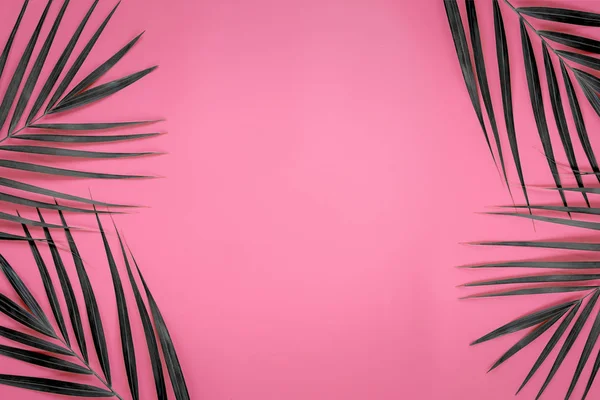Grüne Palmenblätter auf leuchtend rosa Pastell Hintergrund, tropische grüne Palmenblätter, von oben betrachtet minimales Konzept. flache Lage. — Stockfoto