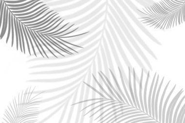 Soyut avuç, beyaz duvarda gölgeler bırakır. Tasarım ve reklam için.