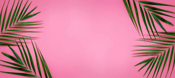 Grüne Palmenblätter auf leuchtend rosa Pastell Hintergrund, tropische grüne Palmenblätter, von oben betrachtet minimales Konzept. flache Lage. — Stockfoto