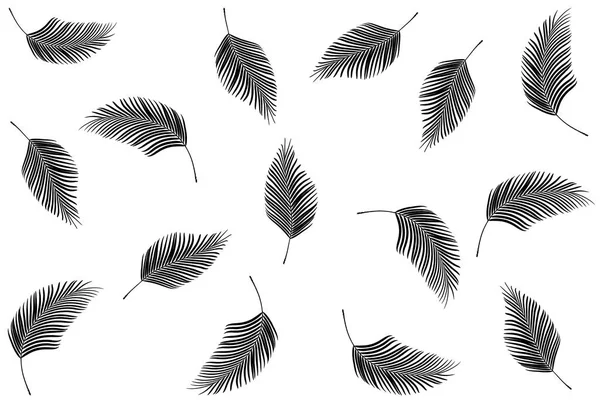 Abstraktes Muster Palmenblätter Auf Weißem Hintergrund Leerer Kopierraum — Stockfoto