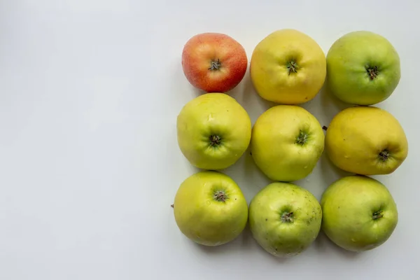 Composición Cuadrada Manzanas Doradas — Foto de Stock