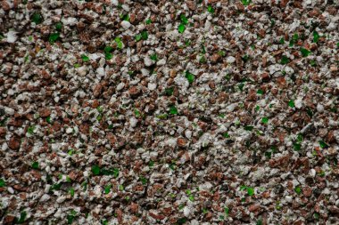 Küçük çakıl taşları ve küçük yeşil bardaklar, yakın plan.