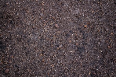 Kış uykusundan uyanan tarlalar.