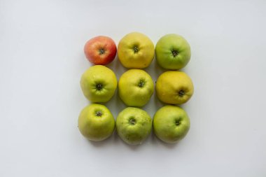 Beyaz arkaplanda çerçevenin ortasında dokuz elma, bir elma - herkes gibi değil, kavramsal fotoğraf.