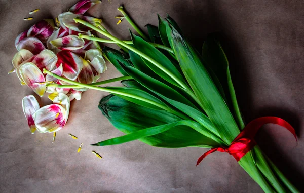 dead tulip bouquet with fallen petals