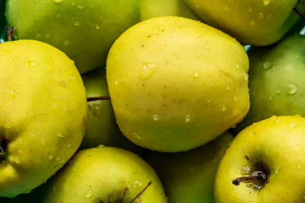 Variedad Manzanas Verdes Amarillas Dorado Primer Plano — Foto de Stock