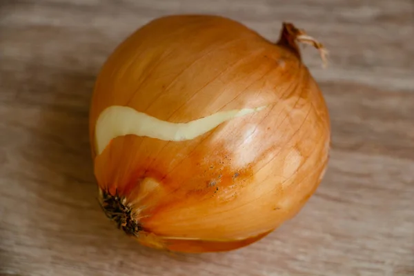 Två Lök Trä Bakgrund Makro Fotografi — Stockfoto