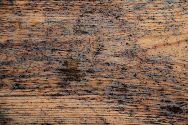 Dřevěné Textury Pozadí Masivní Dřevo Hnědé Místo Pro Text — Stock fotografie