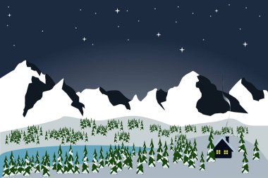 Gece ormanı manzarası