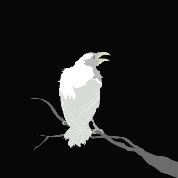 siyah bir zemin üzerine beyaz raven