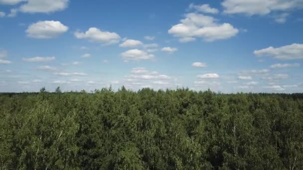 Tiro Aéreo Floresta Nuvens — Vídeo de Stock