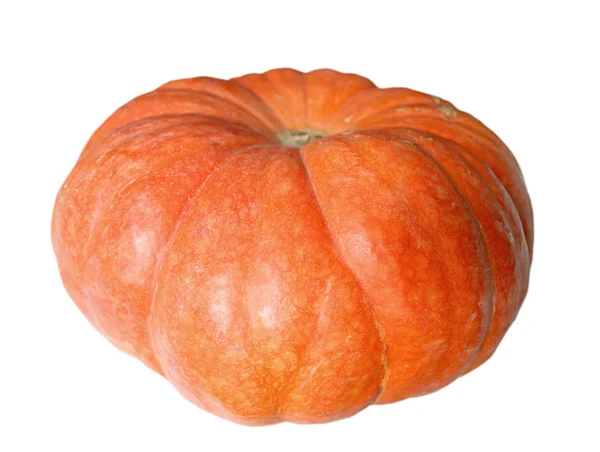 Orange Pumpkin Isolated Front View — Stock Photo, Image