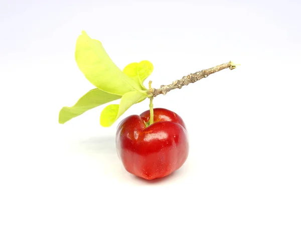 Frutto Acerola Fresco Isolato Bianco — Foto Stock