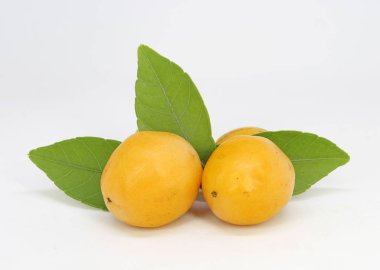 Lezzetli Taze Caja Beyaz Arkaplanda İzole Edildi