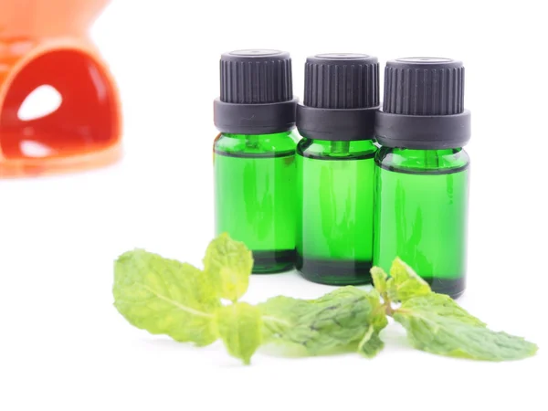 Peppermint oil ; spa concept — Stock Photo, Image