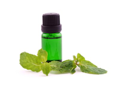 Nane aroma yağı beyaz zemin üzerine kapatın; Spa konsept