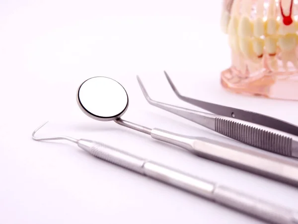 basic dental tools and dental model on white back ground. mouth mirror explorer and cotton plier on white background.