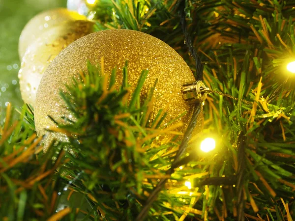 Christmas star ; poinsettia ; and Christmas decoration  in Christmas festival