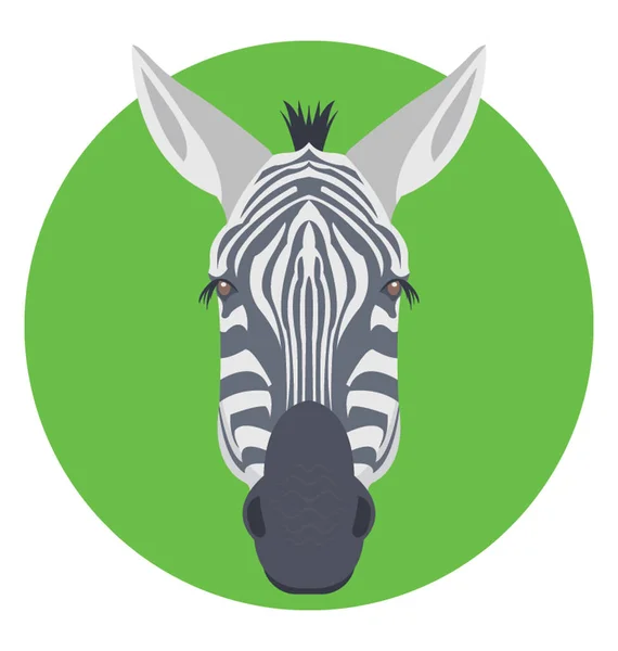 Zebra płaskie ikona — Wektor stockowy