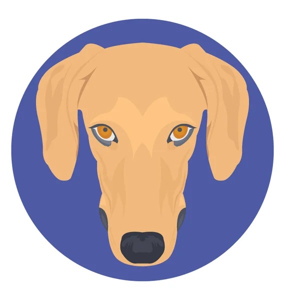 Hund flat ikonen — Stock vektor