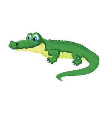 Timsah düz vektör simgesi