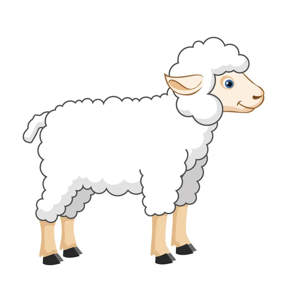 koyun yassı vektör simgesi