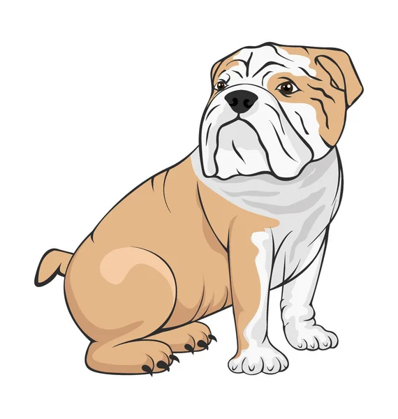 Bulldog Platte Vector Icon — Stockvector