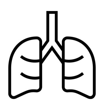 akciğerler 