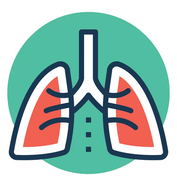 Órgano Respiratorio Humano Pulmones — Vector de stock