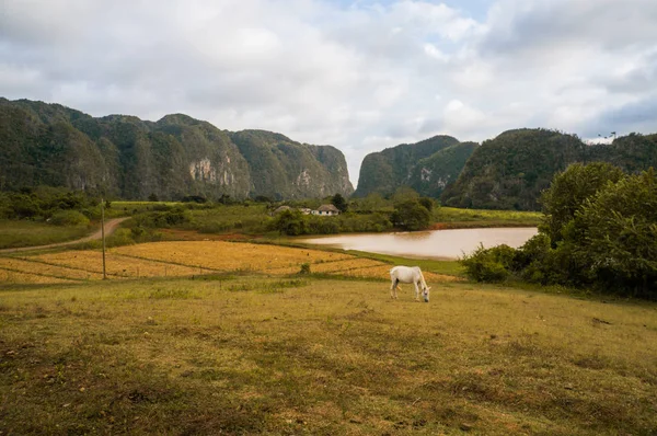 Vinales Valley — Stock Photo, Image